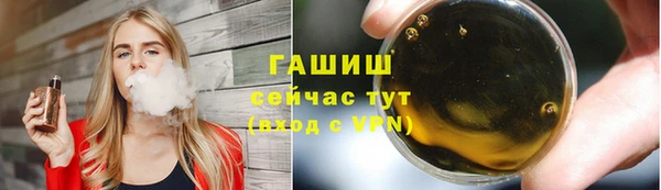 гашик Ладушкин